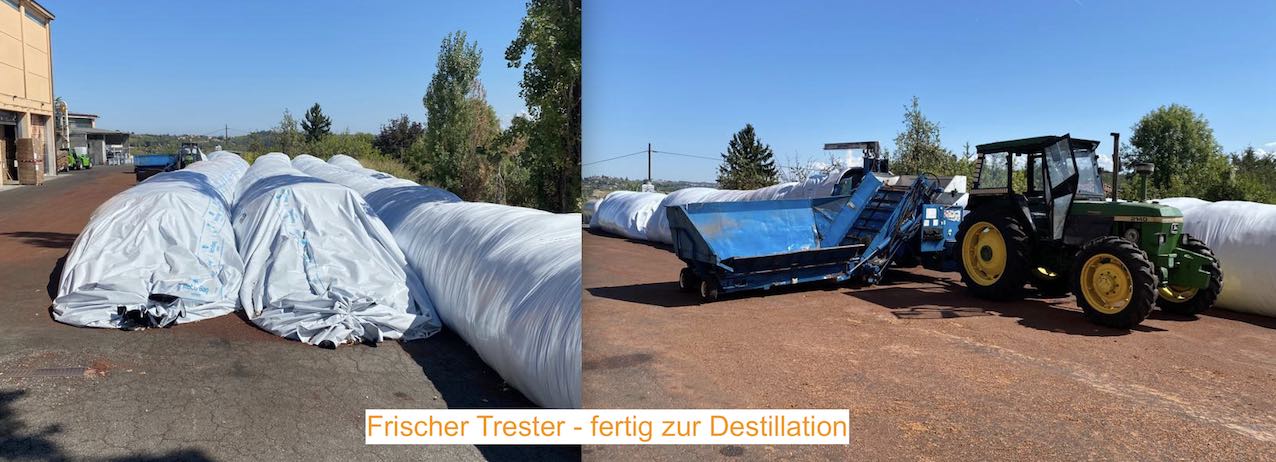 Mazetti Tresteranlieferung