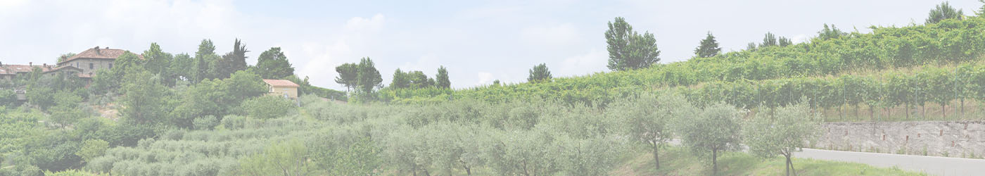 Grappa-Wissen