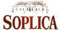 Soplica
