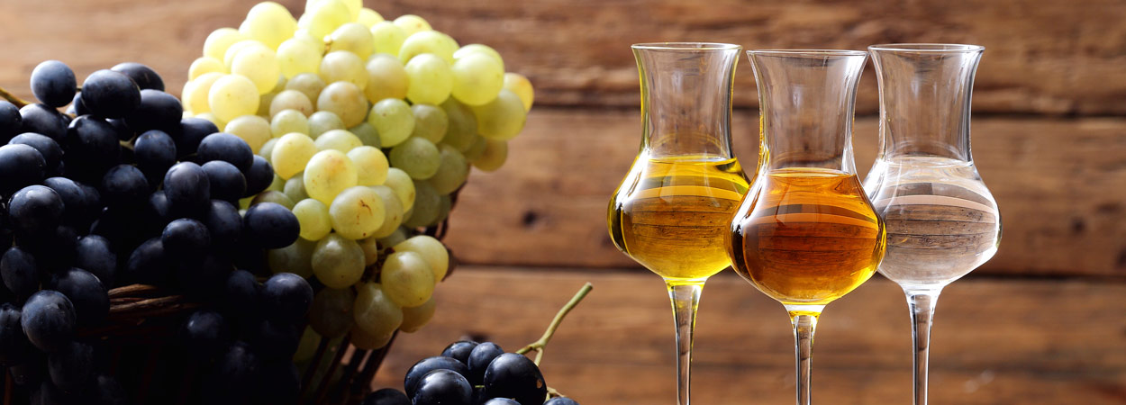 Jetzt den Newsletter von Grappa.de bestellen