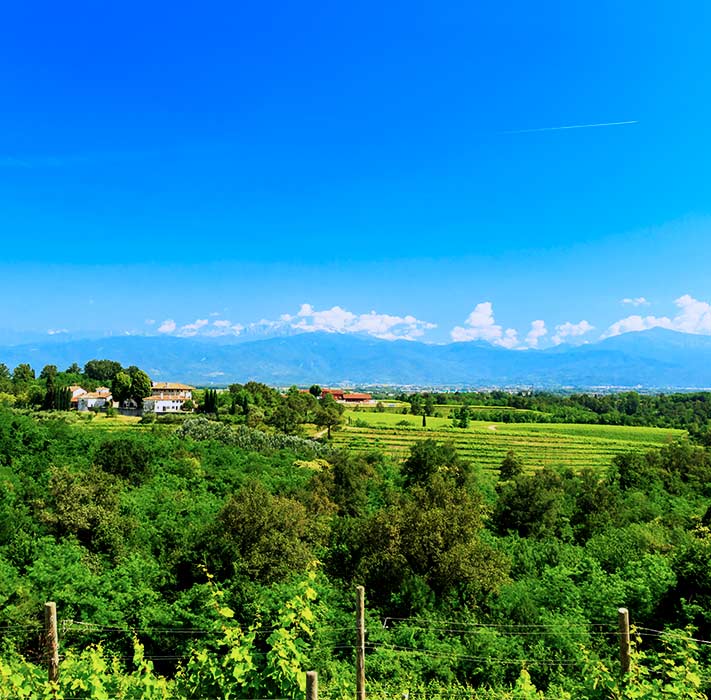 Grappa aus dem Anbaugebiet Friaul-Julisch Venetien g�nstig bei Grappa.de kaufen