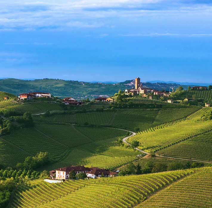 Grappa aus dem Anbaugebiet Piemont g�nstig bei Grappa.de kaufen