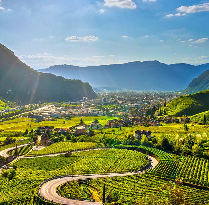 Grappa aus dem Anbaugebiet Piemont g�nstig bei Grappa.de kaufen